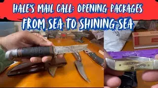 Opening up Gifts, Trades, and Whatnot Purchases! Epic Mail Call