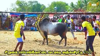 அருமையான காளை அருமையான வீரர்கள் நீயா நானா கடுமையான போட்டி கடைசி  நிமிடத்தில் காளையை அடக்கிய வீரர்கள்