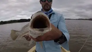 BIG KOB caught at Durban harbour - WR Fishing