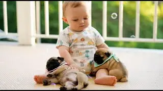The Most Adorable Bubble Catch Ever! | Baby and Puppy Fun at Home