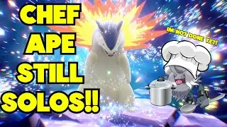 Taunt Annihilape DESTROYS 7-Star Typhlosion raids in Pokemon Scarlet and Violet!