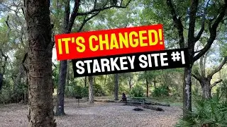 Primitive Camping Florida | Starkey Wilderness Park Primitive/Backcountry Camping | NEW Site #1