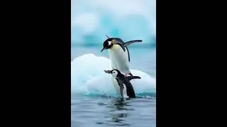 🐧 Pipo the Penguin Hero 🐧