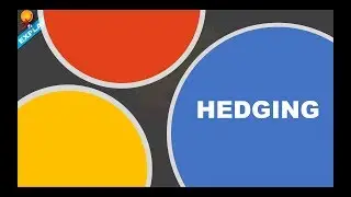 HEDGING explained with simple example