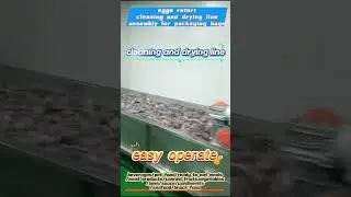 eggs retort,cleaning and drying line #retort #autoclave #sterilizer #foodmachine #foodprocessing