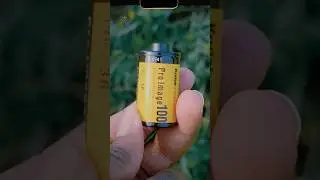 Kodak Pro Image 100 is SUPER UNDERRATED!