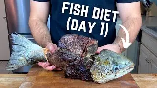 The doctor said I need to eat more fish&hellip;