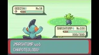 POKEMON EMERALD | MARSHTOMP | CHAPOTEOLODO | MUD SPORT