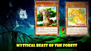 (YGOPRO)new Kittytail, Mystical Beast of the Forest deck!![VJMP]