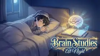 HOW SLEEPING TURNS YOUR BRAIN INTO A MEMORY MACHINE 