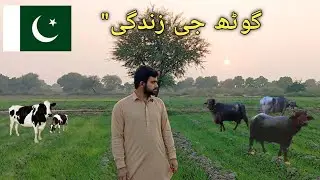 Gaon ki zindagi 🐄🌴🌾