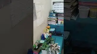 |Rented mini room tour| Siliguri | Living alone🍃🤍 | #shortvideo #shorts #ytshorts  #siliguri