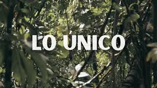 Lo &uacute;nico - Aca Final INTRODUCCION A LA REALIZACION AUDIOVISUAL/57316/PRIMER BLOQUE/24V05