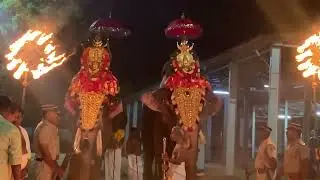 Trikarthika Arrattu - Udayanapuram #vaikom #festival #kerala #elephant #om #music #folk #2022 #shiva
