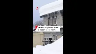 At least 30 people killed in Japan snow storm