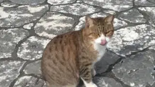 むんむん🟠