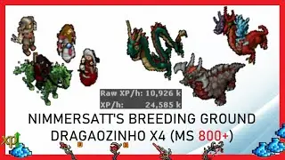 Tibia Hunt - Drag&atilde;ozinho x4 (MS 800+)