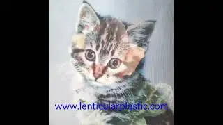 custom lenticular fabric clothing flexible tpu material lenticular T-shirt Tee printing fabrics