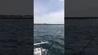 Fishing Shinnacock Inlet