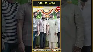 'NBK109 ' బిజినెస్ | Balakrishna 109 | Bird Filmy