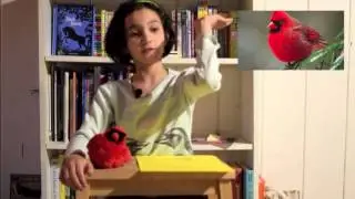 Norah's Audubon Birds -  The Northern Cardinal