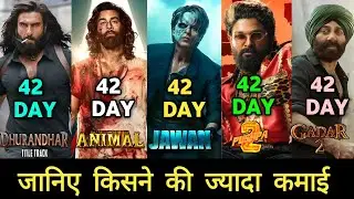 Pushpa 2 Vs Gadar 2 Vs Animal Vs Dhurandhar Vs Jawan 42th Day Collection | Box Office Collection