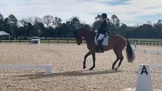 2020 - Quantum Leap - 2nd Place Third Level Test 1 - 71.216%