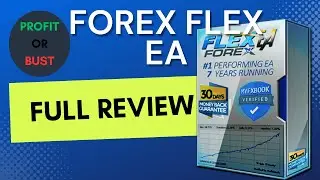 Forex Flex: In-depth Review And My Results With Flex