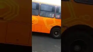 caio Millenium lll 0500M #bus