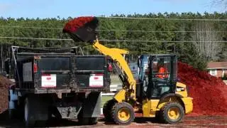 Cat® 903C2 Compact Wheel Loader Overview