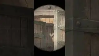 💡 Cool Dust2 Long Doors Flash | CS2 Pro Tips #cs2 #dust2 #protips