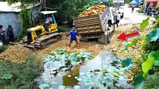 Incredible Work!! Transforming a Landfill Dumping & Dozer in Action!