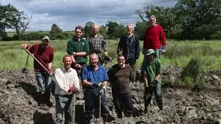 How to create a mini-wetland...