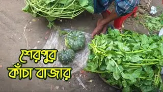 শেরপুর ব্রিজ কাঁচা বাজার । Sherpur Bridge kacha bazaar । 2022 । Probashi TV