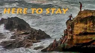 Here To Stay- New Order- Felix Da Housecat Remix (Very Unofficial Video)