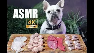 ASMR French Bulldog Eating Raw Kangaroo Steak, Chicken Fillet, Meat Balls & Chicken Heart