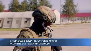 Кучета обезвреждат терористи в мисии на Силите за специални операции
