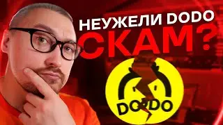 DODO, CAKE, BSW, BAKE: Ленивый Обзор