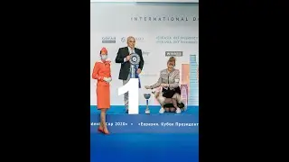 Incanto Del Mondo Glamour Girl / Eurasia 2021 BISJ / Лучший Юниор Выставки Евразия 2021