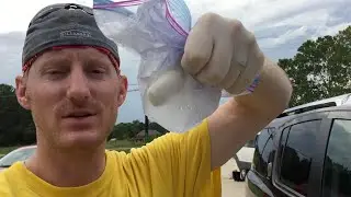 🏚️  LOUISIANA FLOOD DISASTER CLEANUP