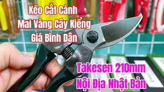 [ Tập 1090 ] K&eacute;o cắt c&agrave;nh gi&aacute; b&igrave;nh d&acirc;n Takesen 210mm nội địa Nhật Bản
