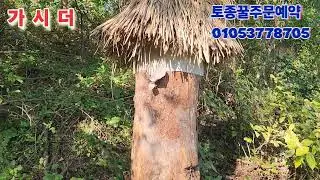 토종꿀 채밀전 벌통 무게로 저밀상태 확인 해보자