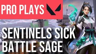 Sage Icebox Guide | How SEN SicK DOMINATES Icebox