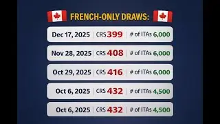 Canada PR at 399 CRS 😱 | French Language Draws Explained | 6,000 ITAs