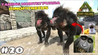 TAMING DINOPITHECUS SI MONYET PURBA! AGRESIF DAN SUKA BIRAHI 😹| ARK Lost Island SERIES #20