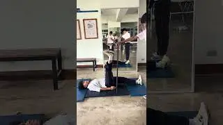 Active Straight-Leg Raise