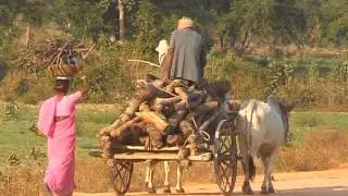 Traditional and Ancient Transportation