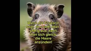 Die Friseurin sagt ist modern.#frisurtrend#flachwitz #witze #komik #humor #sarkasmus #lachen