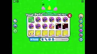 I HATCHED THE HUGE CLOVER UNICORN