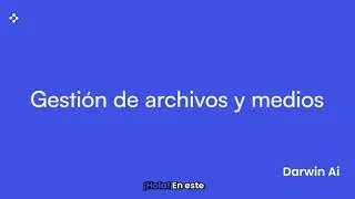 C&oacute;mo organizar archivos dentro de Darwin AI